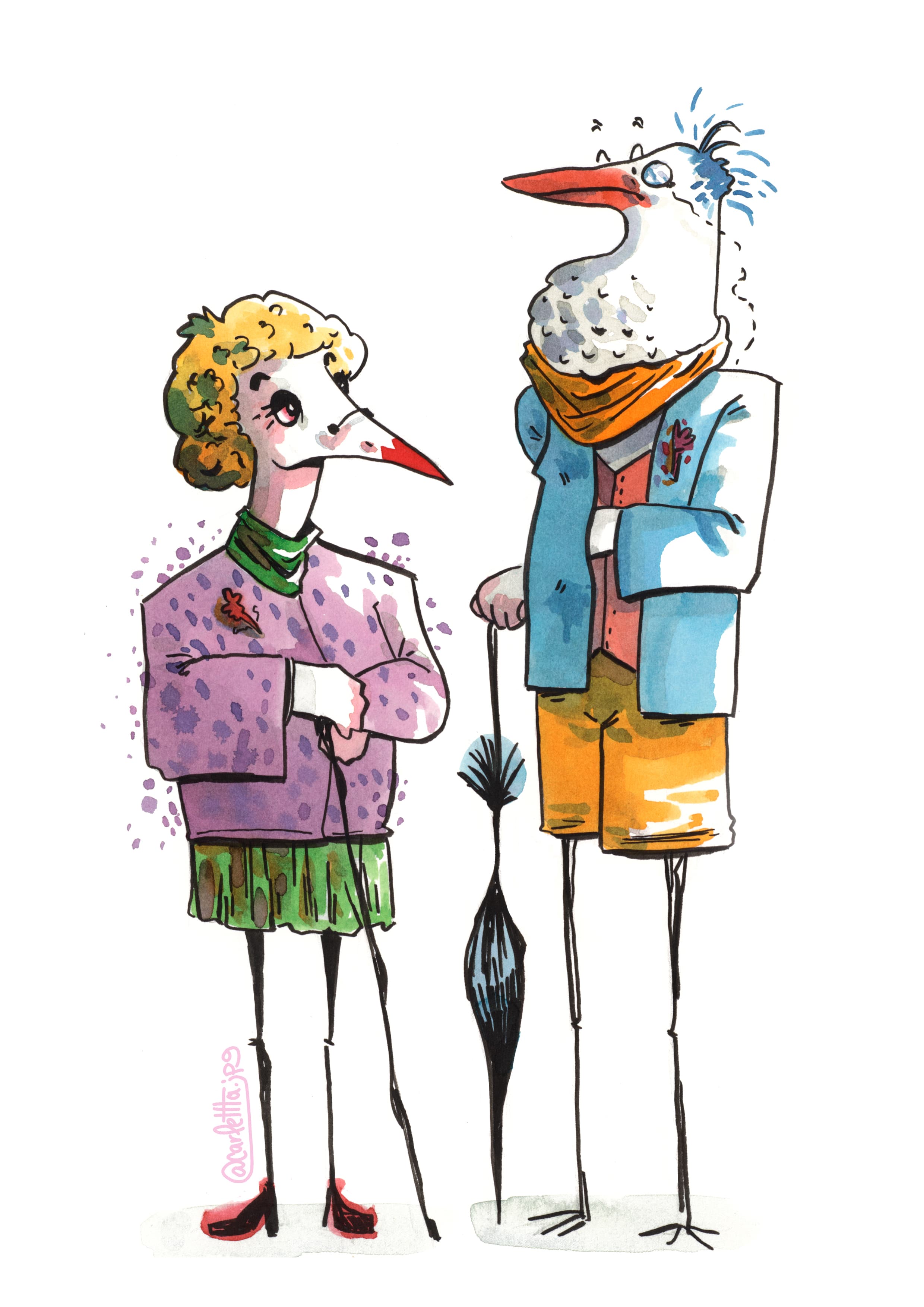 Aves